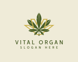 Cannabis Leaf Plant logo design