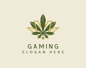 Cbd - Cannabis Leaf Plant logo design