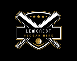 Team Cricket Sports  Logo