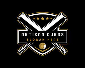 Cricket Bat Ball Emblem logo design