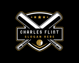 Team Cricket Sports  logo design