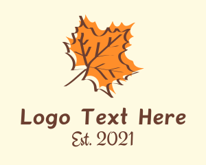 Mountain Maple - Autumn Maple Leaf logo design