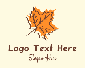 Autumn Maple Leaf Logo