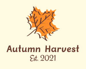 Autumn Maple Leaf logo design