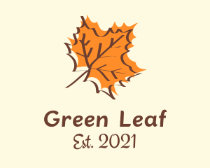 Autumn Maple Leaf logo design