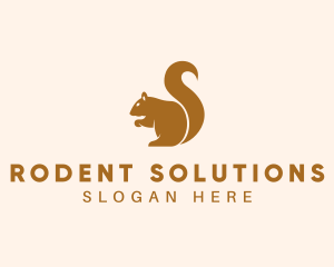 Golden Squirrel Animal logo design