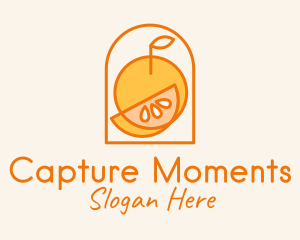 Orange Fruit Harvest  Logo