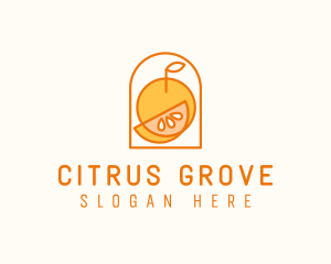 Citrus Orange Fruit logo design