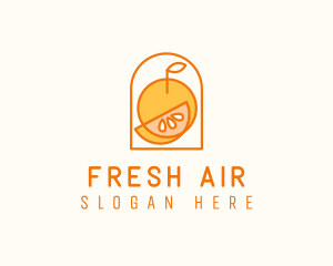 Citrus Orange Fruit logo design