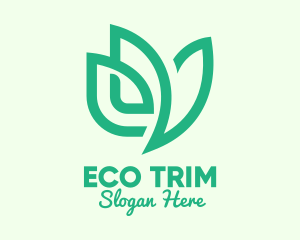 Green Eco Bird logo design