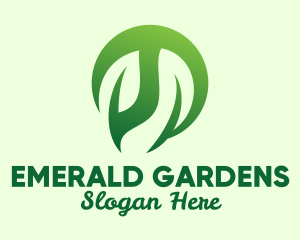 Modern Plant Ornament logo design