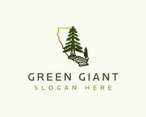 Sequoia Forest Tree logo design