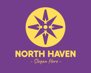 Digital North Star logo design