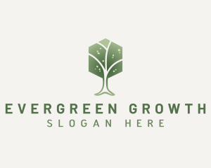 Natural Hexagon Tree logo design