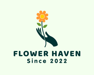 Daisy Flower Hand logo design