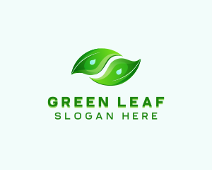 Natural Leaf Garden logo design