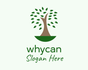 Natural Organic Tree  Logo