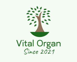 Natural Organic Tree  logo design