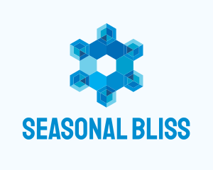 Season - Geometric Hexagon Snowflake logo design