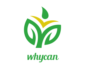 Rice Grain Leaf Outline Logo