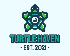 Sea Turtle Video Camera logo design