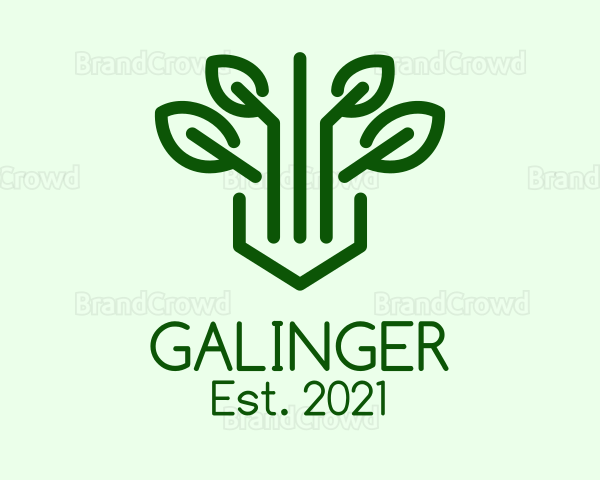 Green Herb Plant Logo