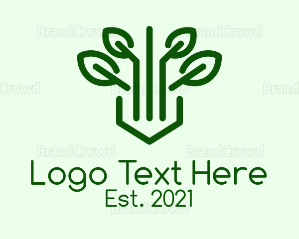 Green Herb Plant Logo