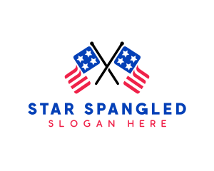 Double American Flag  logo design