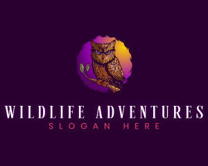 Wildlife Owl Bird logo design