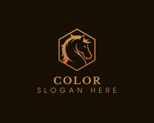 Jockey - Horse Stallion Mare logo design