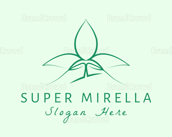Natural Wellness Seedling Logo