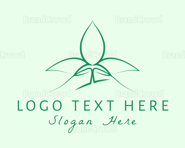 Natural Wellness Seedling Logo