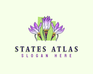 Utah Botanical Flower logo design