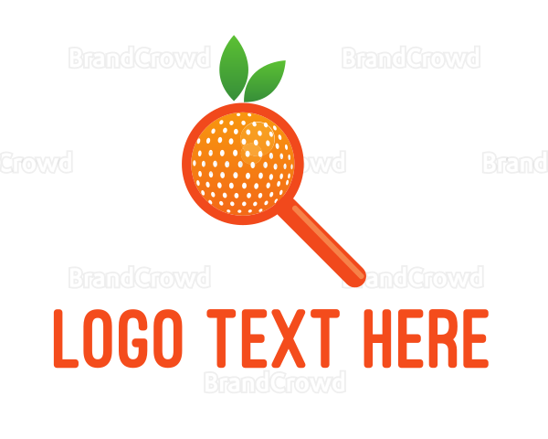 Orange Magnifying Glass Logo