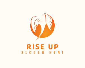 Sunrise Bird Company logo design