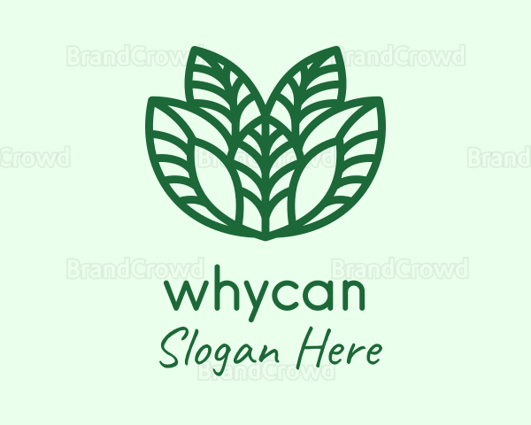 Green Minimalist Leaves Logo