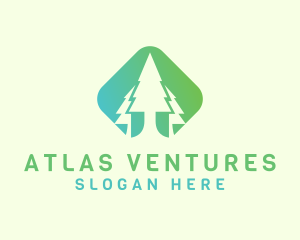 Forest Pine Tree logo design