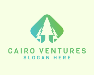 Forest Pine Tree logo design