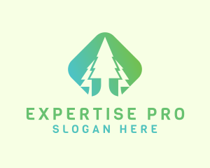 Forest Pine Tree logo design