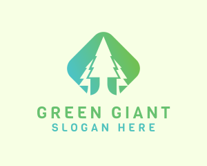 Forest Pine Tree logo design