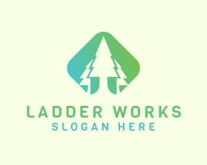 Forest Pine Tree logo design