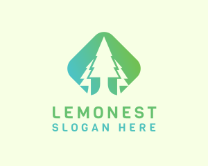 Forest Pine Tree logo design