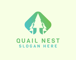 Forest Pine Tree logo design