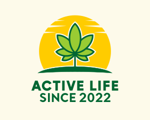 Organic Product - Medical Marijuana Sunrise logo design