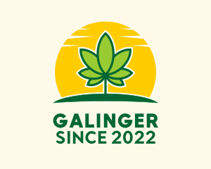 Cannabis - Medical Marijuana Sunrise logo design