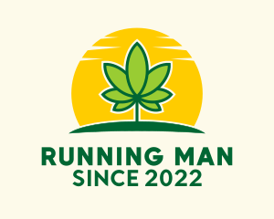 Scenery - Medical Marijuana Sunrise logo design