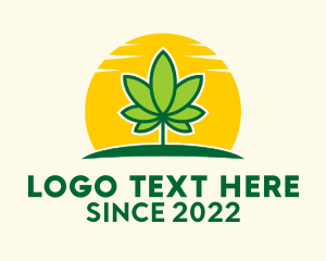Herbal Medicine - Medical Marijuana Sunrise logo design