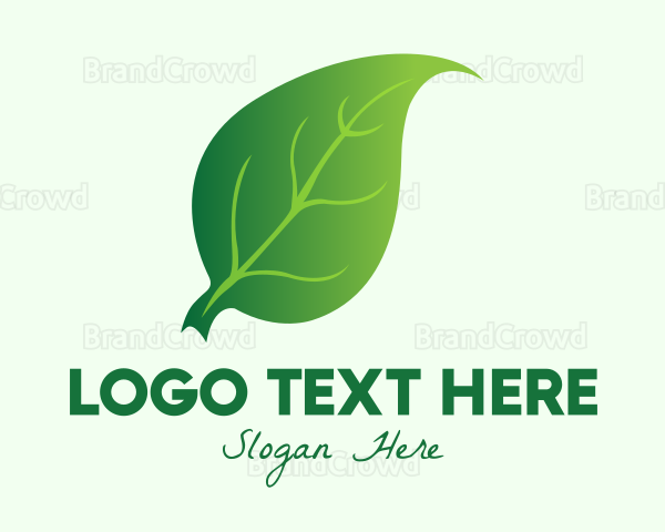 Green Herbal Leaf Logo