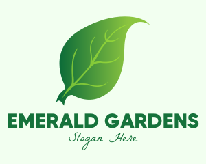 Green Herbal Leaf logo design