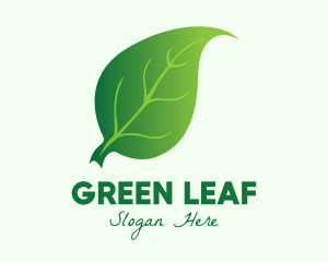 Green Herbal Leaf logo design